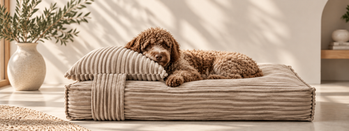 max & marie ® – Premium Hundebett CORD LOUNGE