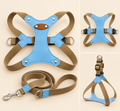 max & marie ® Hundegeschirr & Leinen-Set PAW & GO