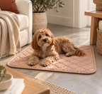max & marie ® Gesteppte Hundedecke & Sofaschutz